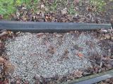 image of grave number 365065